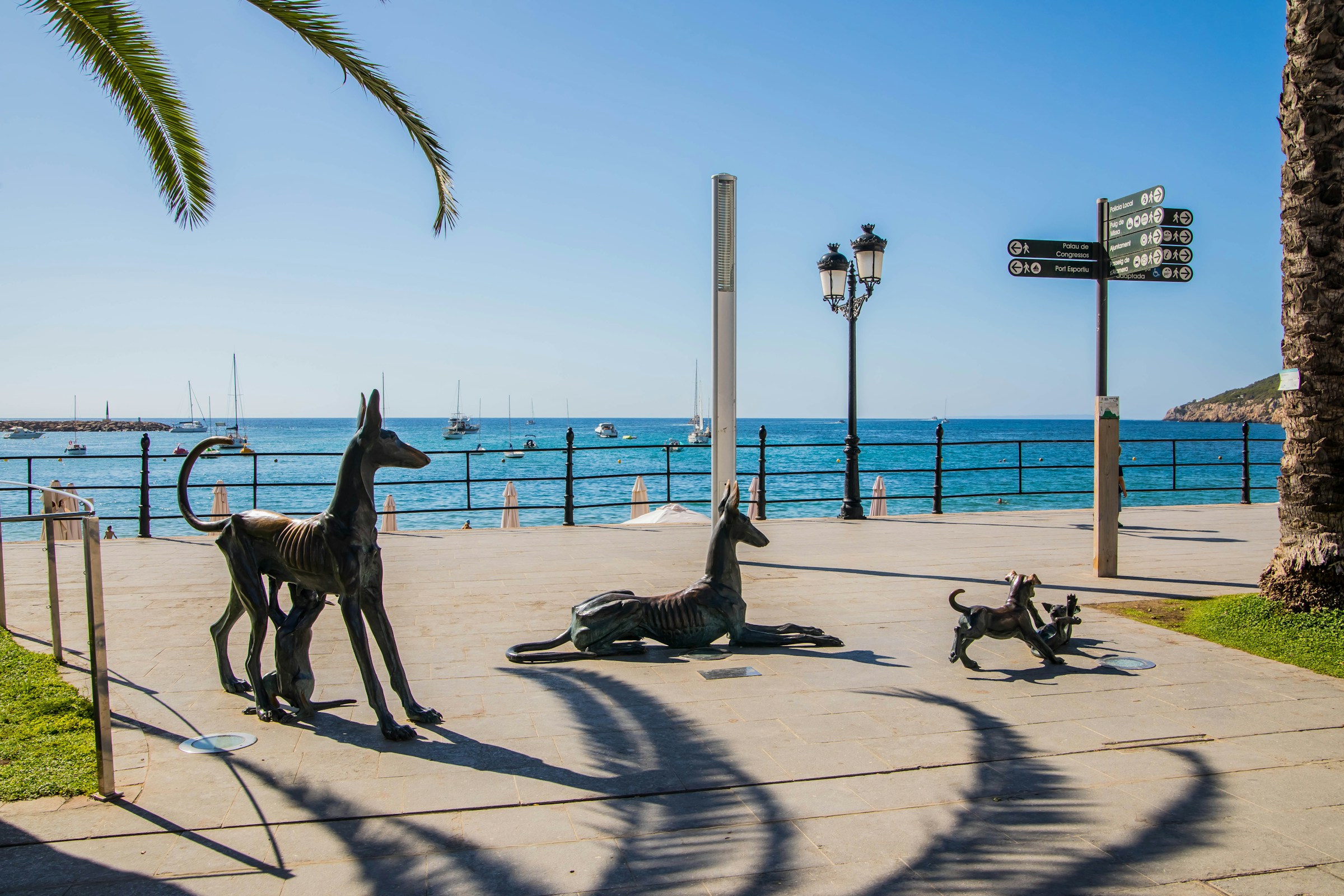 Ibiza authorities limit the number of tourist cars in peak season